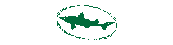 Dogfish Head